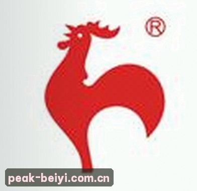 郑宇